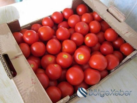 Rusiya Türkiyədən ən azı 3 il pomidor almayacaq