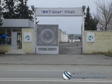 "MKT-Ucar" filialı 200 nəfəri işsiz qoyur - 200 nəfər işçi prezidentdən imdad umur -VİDEO /MÜRACİƏT