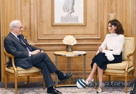 Mehriban Əliyeva “Rothschild Global Financial Advisory” şirkətinin rəhbəri ilə görüşdü