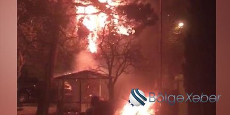 Bakıda bayram tonqalı ağacları yandırıb (VİDEO)