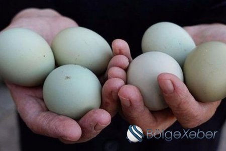 Azərbaycanda biri beş manata olan yumurta satılır - FOTO