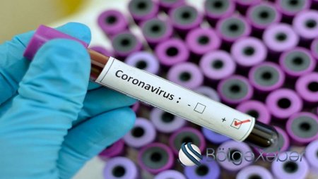 Dünyada koronavirusdan ölənlər yarım milyon oldu