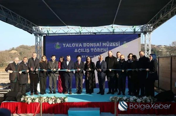 Türkiyənin ilk "bonsai muzeyi" açıldı
