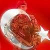 Suriya Türkiyədən üzr istədi