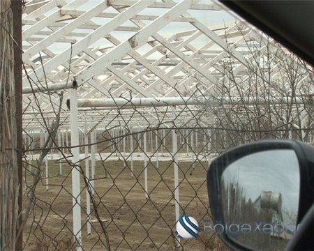 “Qarasu OYL”dakı qara əməllər haqda yeni məlumatlar-FOTO