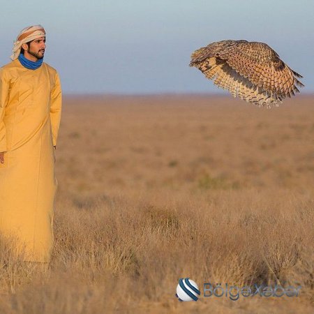 Milyarder Dubay şahzadəsi Azərbaycan qanunvericiliyini pozub?-FOTO