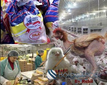 "Siyəzən Broyler"in məhsulları hansı xəstəliklərə səbəb olur?