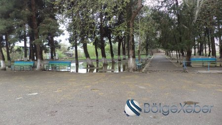 Təhsil nazirinin Qazaxdakı məktəb-liseydən xəbəri varmı?-Direktor özü dərsi bilmirsə...(FOTO)