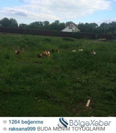 Rəqsanə özünə 4 mərtəbəli villa tikdirir (FOTO)