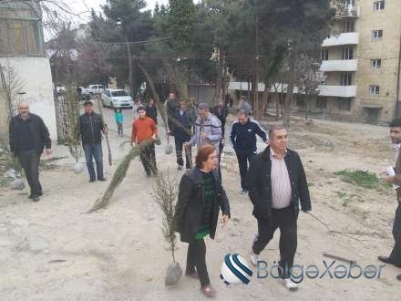 Yasamalda yaşıllığı hədəfə alan qatillər geri çəkilməyibmiş... - Sakinlər həyəcan təbili çaldı(FOTO)