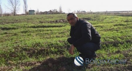 «Nurgün-aqro» əlil qardaşları aldadıb