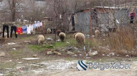 İcra başçısı 40-a yaxın ailəni məhkəməyə verəcək-FOTOLAR İcra başçısı 40-a yaxın ailəni məhkəməyə verəcək-FOTOLAR