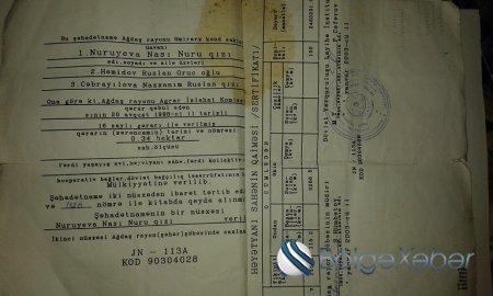 “Azəryol Servis” ASC-nin sədri Saleh Məmmədov haqqımızı yeyib” -ŞİKAYƏT(FOTOLAR) “Azəryol Servis” ASC-nin sədri Saleh Məmmədov haqqımızı yeyib” -ŞİKAYƏT(FOTOLAR)