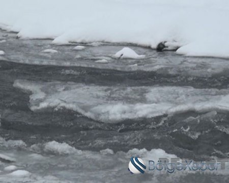 Zaqatala sakini -15° şaxtada çaya baş vurdu - FOTO - VİDEO