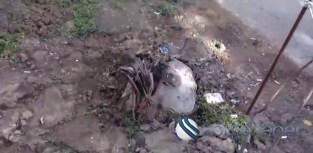 Yasamal icra başçısının adı 500 minlik qalmaqalda - FOTO/VİDEO Yasamal icra başçısının adı 500 minlik qalmaqalda - FOTO/VİDEO