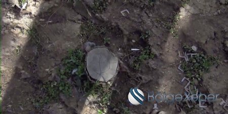 Yasamal icra başçısının adı 500 minlik qalmaqalda - FOTO/VİDEO Yasamal icra başçısının adı 500 minlik qalmaqalda - FOTO/VİDEO