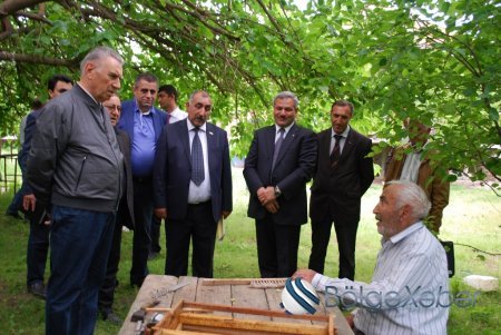 Baş nazirin müavini Əli Həsənov Tərtər rayonunda - FOTOLAR