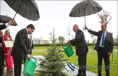 Lukaşenko və Berdiməhəmmədov yağışlı havada ağac suladılar