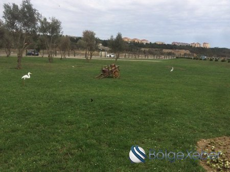 Tikintisi davam edən Sumqayıt bulvarından son görüntülər-FOTOLAR