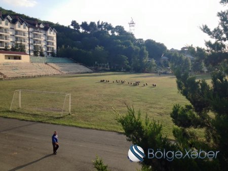Şəki stadionunda qoyun otarırlar - ŞOK FOTOLAR Şəki stadionunda qoyun otarırlar - ŞOK FOTOLAR