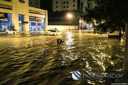  Hacıbala Abutalıbovun son payızı