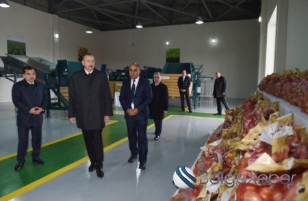 İlham Əliyev Qazaxda kəndli fermer təsərrüfatının təqdimatında-FOTO İlham Əliyev Qazaxda kəndli fermer təsərrüfatının təqdimatında-FOTO