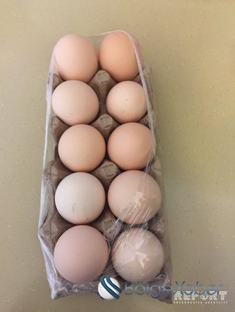 Marketləri saxta yumurta ilə təmin edən Aydın kimdir? - FOTO + VİDEO