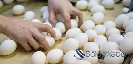 Yumurtanın qiyməti ucuzlaşıb-VİDEO