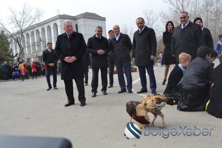 Hacıqabul rayonunda “Novruz” şənliyi keçirildi-FOTOLAR