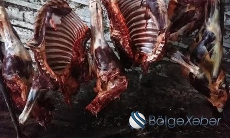 Aldığımız ət belə şəraitdə kəsilirdi - FOTOLAR