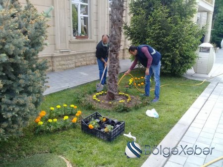 Ağacəkmə aksiyası keçirildi - Tərtərdə Ağacəkmə aksiyası keçirildi - Tərtərdə