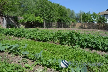 Füzuli bu gün: Görülən işlər həyata keçirilən tədbirlər-FOTOLAR