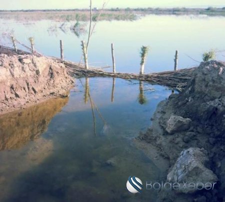 İcra başçısının müavini belə bir çıxış yolu tapdı - FOTO