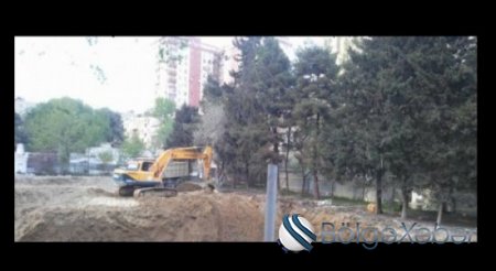 Daha bir tikinti şirkəti gecələr yaşıllığa hücum edir- şəhid adına olan parkda "qətliam" FOTOLAR