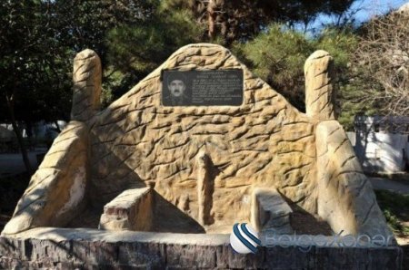 Daha bir tikinti şirkəti gecələr yaşıllığa hücum edir- şəhid adına olan parkda "qətliam" FOTOLAR Daha bir tikinti şirkəti gecələr yaşıllığa hücum edir- şəhid adına olan parkda "qətliam" FOTOLAR