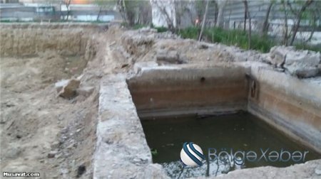 Daha bir tikinti şirkəti gecələr yaşıllığa hücum edir- şəhid adına olan parkda "qətliam" FOTOLAR Daha bir tikinti şirkəti gecələr yaşıllığa hücum edir- şəhid adına olan parkda "qətliam" FOTOLAR