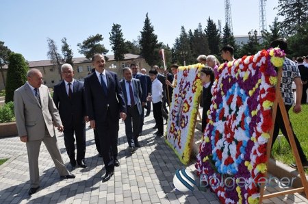 İmişlidə Ağacəkmə kompaniyası keçirilib İmişlidə Ağacəkmə kompaniyası keçirilib