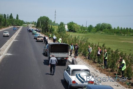 Heydər Əliyev 94: Tərtərdə silsilə tədbirlər keçirildi-FOTO Heydər Əliyev 94: Tərtərdə silsilə tədbirlər keçirildi-FOTO