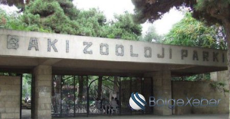 Bakı Zooparkı yenidən qurulacaq - VİDEO