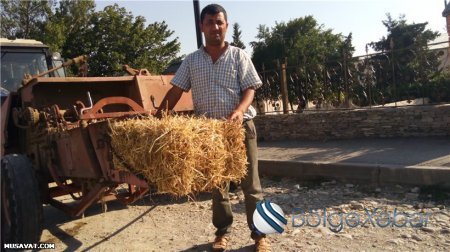 Şamaxıda fermerlərin dizləri yerə gəlib... - ŞİKAYƏT