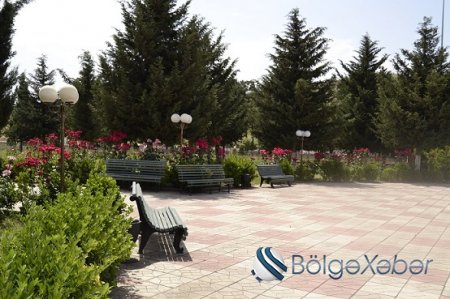 Füzulidə yaşıllıq zolaqlarının salınması, ekoloji tarazlığın qorunması uğurla həyata keçirilir-FOTO Füzulidə yaşıllıq zolaqlarının salınması, ekoloji tarazlığın qorunması uğurla həyata keçirilir-FOTO
