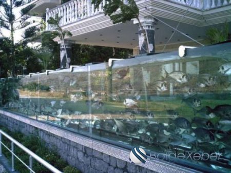 İzmirli iş adamı hasar yerinə akvarium tikdi,bütün dünyanın marağına səbəb oldu - FOTO,VİDEO