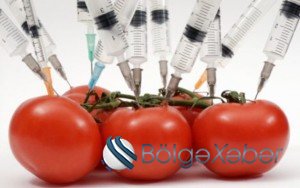 “Bazarlarımızda pomidorun 70, kartofun 40 faizi GMO məhsullarıdır”