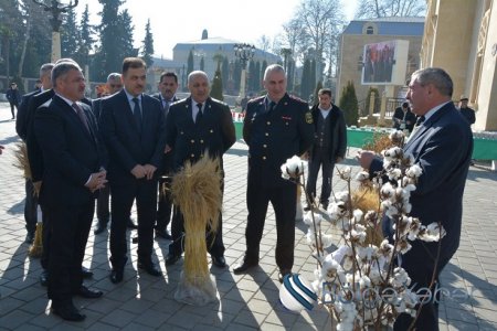 2017-ci il Tərtər rayonu üçün uğurlu olub-FOTO