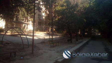 Nəsimi rayonunda binaların zirzəmilərini su basıb-ağaclar məhv edilir – sakinlərdən ŞİKAYƏT(FOTOLAR)