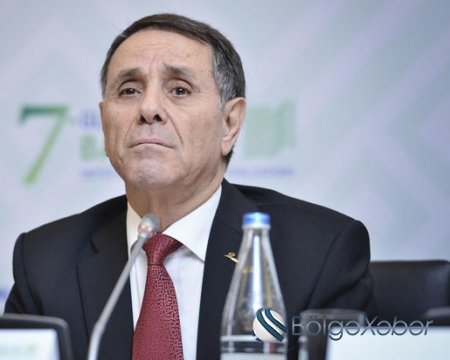 Novruz Məmmədov parlamentdə ilk hesabatını verir