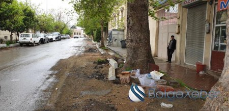 İcra başçısının Şəmkirdəki nəhəng biznesi-qızıl balıq, maral və taxıl… FOTOLAR