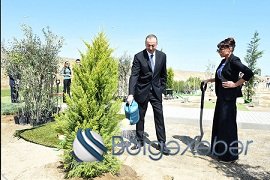Prezident İlham Əliyev Heydər Əliyevin doğum gününə həsr olunan ağacəkmə aksiyasında iştirak edib