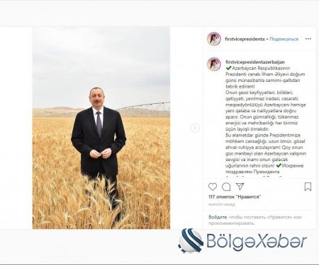 I vitse-prezident Azərbaycan Prezidentini təbrik etdi