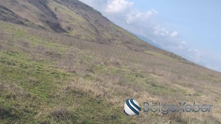 230 hektar torpağı əlindən alınmış kənd –YENİ ZUVAND CAMAATI CARƏSİZ QALIB